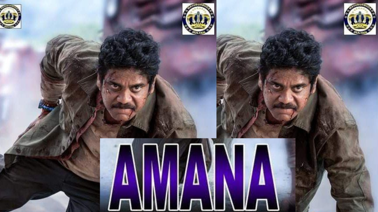 Amana india hausa