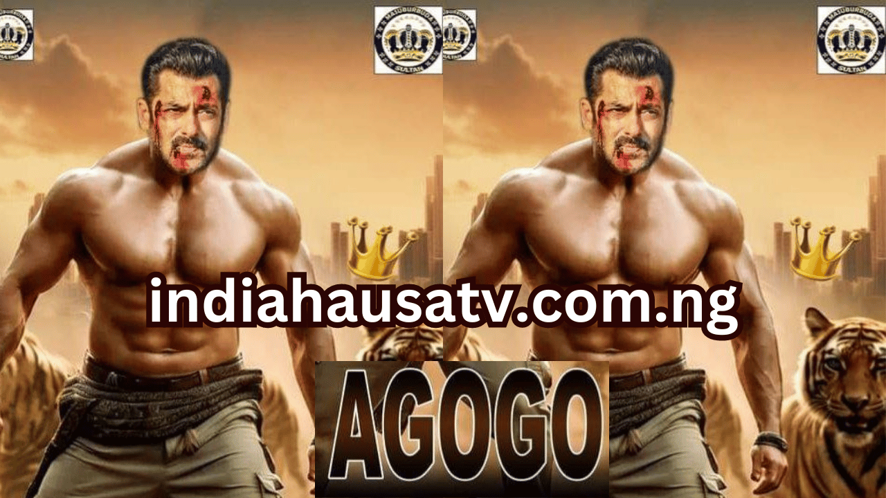 INDIA HAUSA