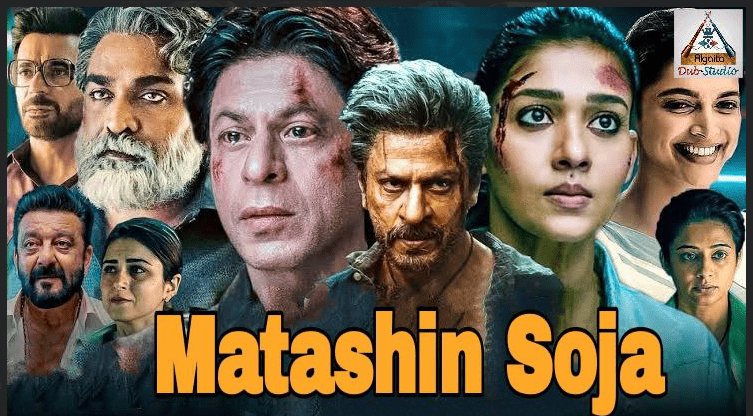 MATASHIN SOJA
