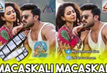 MACHASKALI FASSARAR ALGAITA